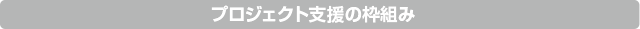 プロジェクト支援の枠組み